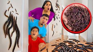 We FOUND WORMS Inside Zakyius Room!