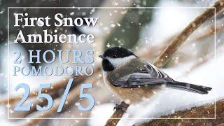 Pomodoro 25/5 - First Snow winter ambience: nature sounds for study, work, concentration