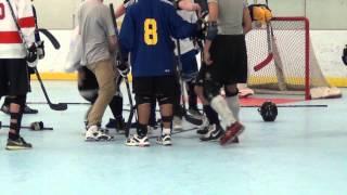 Ball Hockey Fights - Ball Hockey Brawls - TriCity Seekers vs. nWo (UFC + WWE Version - Raw)