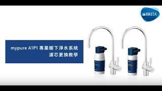 BRITA mypure A1/P1 專業櫥下淨水系統濾芯更換