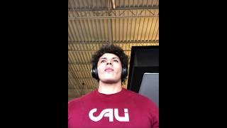 Armbrust Pro Gym - Chest & Triceps training