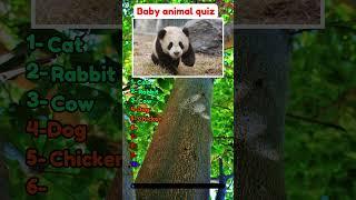 Can you guess these 10 baby animals? #quiz #trivia #animals #animal