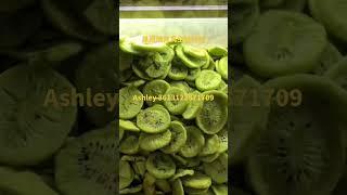 vegetable and fruit crips vaccum frying machine