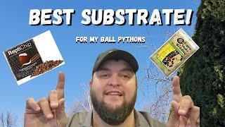 Humidity Issues & the Best Substrate for your Ball Pythons!