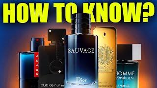 How to Evaluate Fragrances: Niche vs Designer Explained