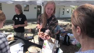 Skidaway Marine Science Day 2018