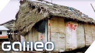 Leben am Amazonas | Galileo Lunch Break