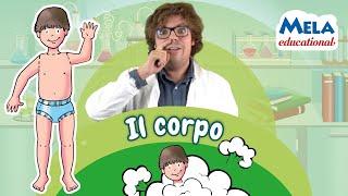 Il corpo umano - Renato lo scienziato Educational @Mela_Educational