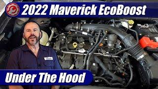 2022-2024 Ford Maverick 2.0 EcoBoost Engine Explained