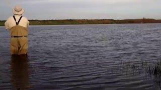 First Shad on the Single Hand Fly Rod of the Season- 2016