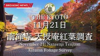 [News] The autumn leaves condition at Nanzen-ji and Tenjuan on November 21