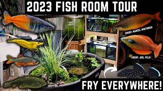 HUGE FISH ROOM TOUR! TONS OF FRY! NEW GUPPY POND (30+ AQUARIUMS)