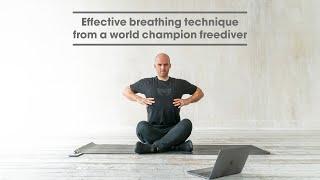 Free Breathing Lesson from Alexey Molchanov | Foundational Breatwork