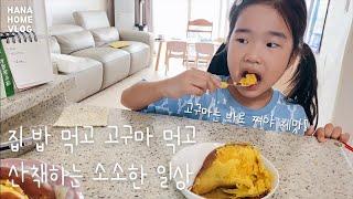 일상 브이로그  일요일과 평일의 가족 일상 / 집밥 해먹고 산책 / 주제원 산책 / 된장찌개, 소세지볶음, 고구마