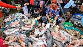 Wow ! Khmer Largest Food Supplies & Fish Market Scenes @Chbar Ampov Market - Food Market