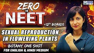 ZERO to NEET | Class for 12th Boards & NEET Aspirants | Sexual Reproduction in Flowering Plants