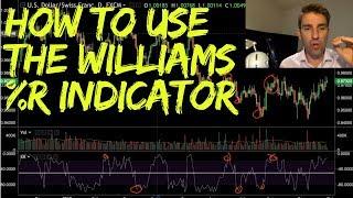 How to Use the Williams %R Indicator 