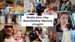 weaning breastfeeding struggles // twin mom  week in the life