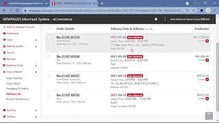 NEWPAGES eCommerce Packaging & Picking, Delivery List and Product Performance (English)