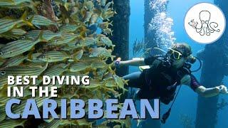 The Best SCUBA Diving Locations in the Caribbean