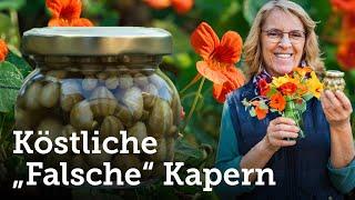 Kapuzinerkresse: Wir machen aus den Samen die herrlich köstlichen „falschen KAPERN“! 