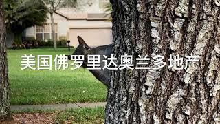 美国奥兰多地产，海外地产投资。冬季花园地区。Orlando Real Estate Winter Garden Florida House Investment for Long Term.