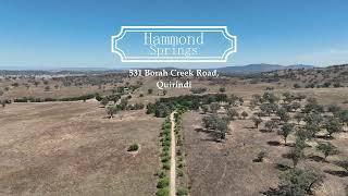 531 Borah Creek Road, Quirindi - Ian Morgan Livestock