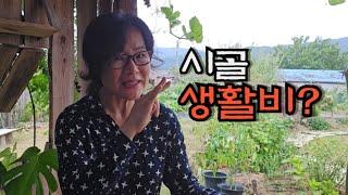 귀촌후 시골 생활비는 얼마나 필요할까?? 숯불 꼬지구이  - countryside life