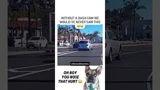 Move Over Karen, There are Darren's too Dash cam blunders  #reaction #funny #dog #karen #dashcam