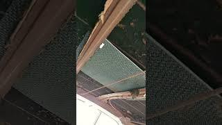 64 ss impala custom headliner from dollar tree  mats