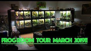 BIOACTIVE Frog Room Tour March 2019!!