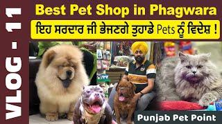 Best Pet shop in Phagwara | Punjab Pet Point | Dogs,Cats,Fishes,Parrots | Vlog-11 @petclues2751