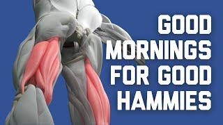 HOW TO DO GOOD MORNINGS // Exercise Tutorial from The 3DMJ Lifting Library