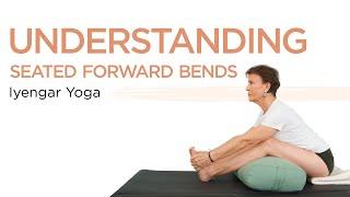 Iyengar Yoga Paschimottanasana--Understanding Seated Forward Bends-Beginner Yoga