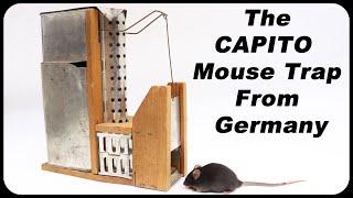 The CAPITO Original Mouse Trap from Germany - Mousetrap Monday