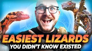 The 5 BEST Beginner Lizards You've Never Heard Of!