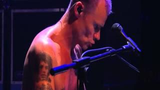 Red Hot Chili Peppers - Flea's Piano Solo - Live in Köln 2011 [HD]