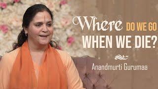 Where do we go when we die? (English) | Anandmurti Gurumaa