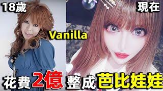 Japanese real Barbie doll  which spent 0.2 billion yen on full-body plastic surgery  is now ugly as