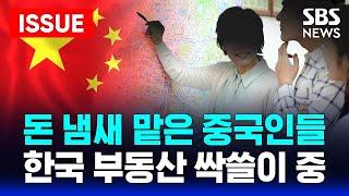 K-부동산 '싹쓸이' 70% 이상이 중국인...강남권은 미국인이 사들였다 | SBS 이슈라이브