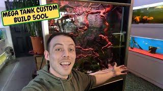 MEGA Tank Custom Build 500L, Delivery Day Unboxing (Snake Island Exotics)