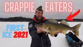 1st Ice 2021 - First Ice Giant Walleye in Canada's Backcountry (Ice Fishing Walleye and Crappie)