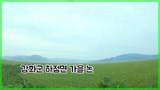 (4K) Landscape of Korea / 인천 강화군 하점면 가을 논 / Ganghwa Incheon / GoPro