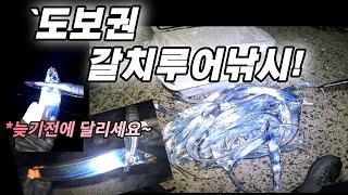 오랜만에 육지에서 팔 아프게 잡고 놀았습니다. 갈치 도보권도 사이즈 좋네요~ 달리시죠!