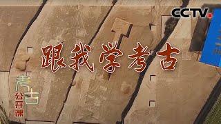 《考古公开课》 跟我学考古 20200524 | CCTV科教