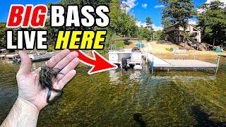 Fishing SHALLOW for Giant LATE SUMMER Bass