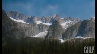 Nature's Beauty Unveiled: Capturing Awe-Inspiring Life Forms in Mountain Lake, River, and Shoreline