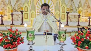 Holy Mass November 27  Wednesday 5.30 AM I Malayalam I Syro Malabar I Fr Bineesh Augustine