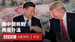 美中貿易戰：特朗普加徵中國一成關稅 將帶來什麼衝擊？ － BBC News 中文