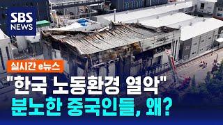 "한국 노동환경 열악" 보도에…중국인들 분노한 이유 / SBS / 실시간 e뉴스